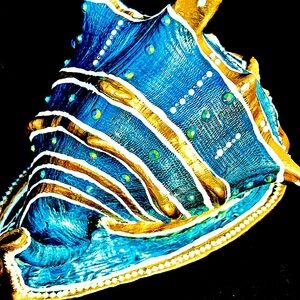 Hand Painted Queen Conch Shell